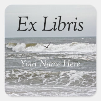 Carré Ex Libris - Sticker Surf et goéland
