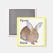 Carré Fawn Flamand Giant Rabbit Magnet (Recto/Verso)
