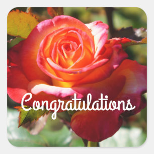 Carré Félicitations Dream Come True Rose #2 Sticker