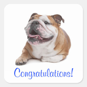 Carré Félicitations Happy Sticker Chien Chiots Bouledog