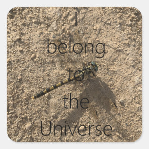 Carré I belong to the Universe - Sticker