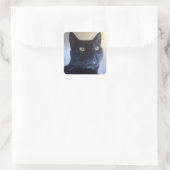 Carré Je Suis Chat Sticker (Sac)