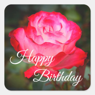 Carré Joyeux Anniversaire Cherry Parfait Rose #3 Sticker