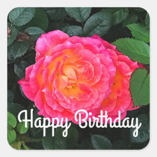 Carré Joyeux Anniversaire Tidely Winks Rose #1 Sticker