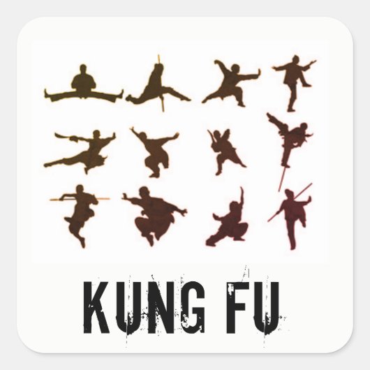 CARRÉ KUNG FU STICKER (Devant)