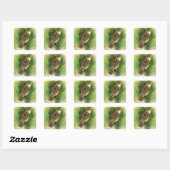 Carré Little Sparrow Sticker (Feuille)