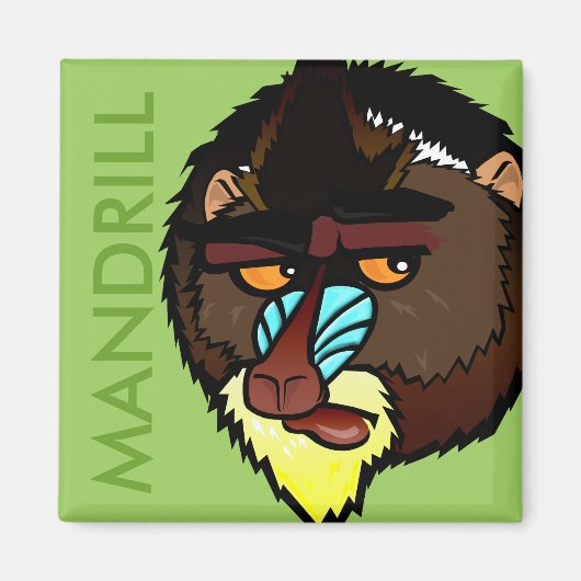 CARRÉ MANDRILL MAGNET (Devant)