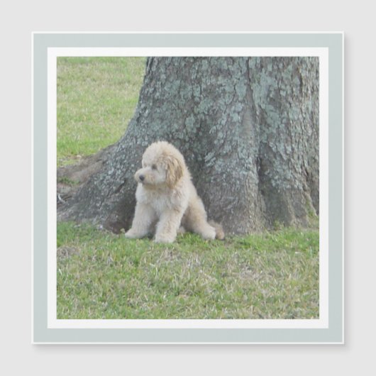 Carré mignon moderne Modèle vert Keepsaké aimant (Devant)