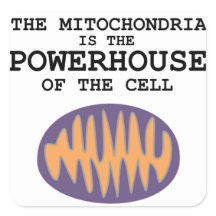 Mitochondria est la Powerhouse - Sticker