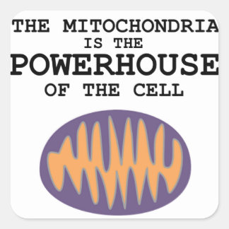 Carré Mitochondria est la Powerhouse - Sticker