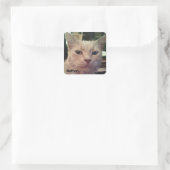 CARRÉ NATHAN STICKER (Sac)