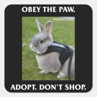 Carré Obéissez au Sticker Paw