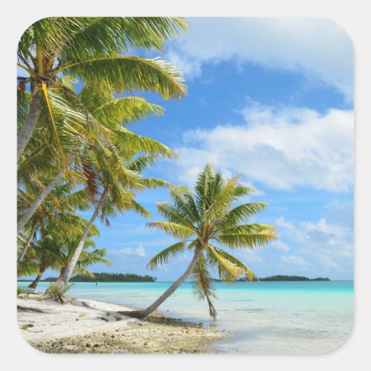 Carré Palmier blanc sable de plage photo sticker (Devant)