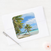Carré Palmier blanc sable de plage photo sticker (Enveloppe)