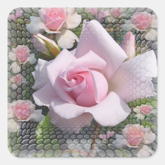Carré Perfection rose ~ Sticker / Enveloppe Sealer Class (Devant)