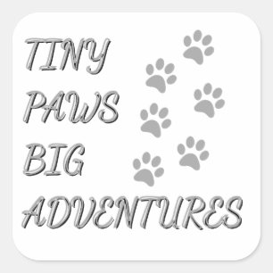 Carré Petites pattes, Grosse aventure Sticker