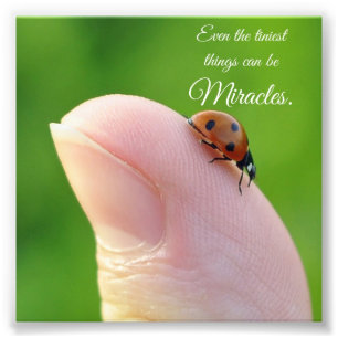 Carré photo Ladybug Tiny Miracles