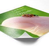 Carré photo Ladybug Tiny Miracles (Coin)