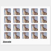 Carré Poised Abyssinian – Elegant Cat Sticker (Feuille)