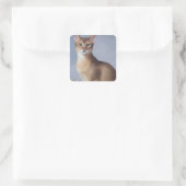 Carré Poised Abyssinian – Elegant Cat Sticker (Sac)