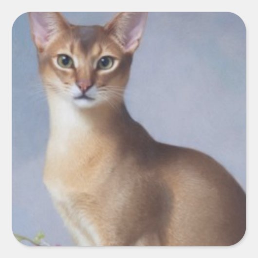 Carré Poised Abyssinian – Elegant Cat Sticker (Devant)