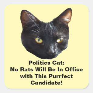 Carré Politique Chat Aucun Rats Ne Sera Dans Sticker De 