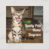 Carré pour animal de chat Kitten Cartes de visite (Devant)