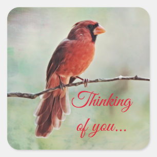 Carré Red Cardinal Bird Penser à vous Sticker