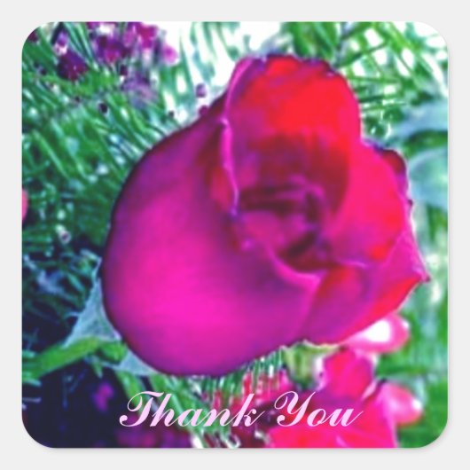 Carré Rose rouge - Sticker Merci (Devant)
