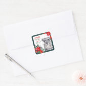 Carré Schnauzer Poinsettia Bordure Sticker de Noël (Enveloppe)