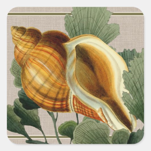 Carré Seashell Vintage Beach Square Sticker (Devant)