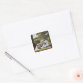 Carré Soft Bond – White Tigers Sticker (Enveloppe)