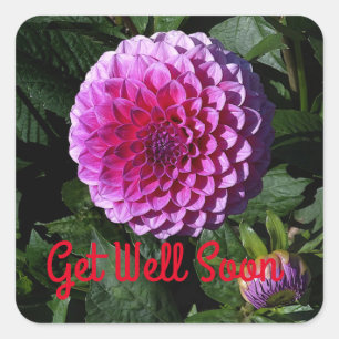 Carré Soyez Bien Bientôt Dahlia Pink Paradise #1 Sticker