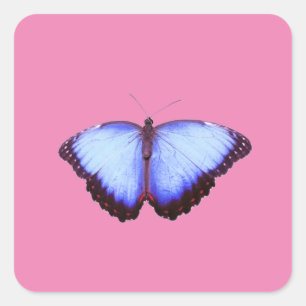 Carré Sticker
