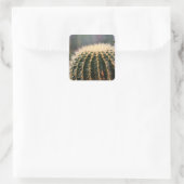 Carré Sticker à cactus (Sac)