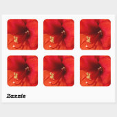 Carré Sticker à fleurs (Feuille)