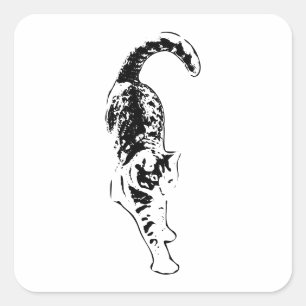 Carré Sticker à flux de tabby