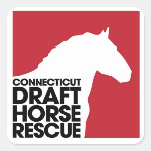Carré Sticker à Secourt de Cheval Brouillon CT