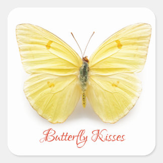 Carré Sticker Baisers Papillon
