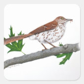 Carré Sticker Brown Thrasher (Devant)