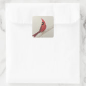 Carré Sticker cardinal rouge Oiseau OEuvre originale (Sac)