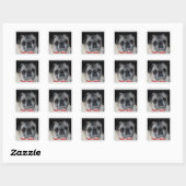 Carré Sticker carlins & Baisers (Feuille)