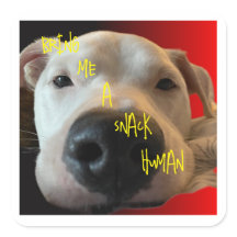 STICKER CHIEN FUNNY