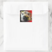 CARRÉ STICKER CHIEN FUNNY (Sac)