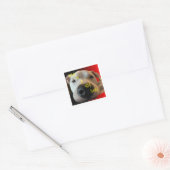 CARRÉ STICKER CHIEN FUNNY (Enveloppe)