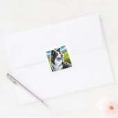 Carré Sticker Collie Bordure (Enveloppe)