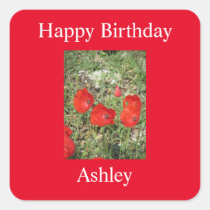 Carré Sticker Corfou Red Poppies