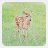 Carré Sticker d'art doux pour cerfs de bébés (Devant)