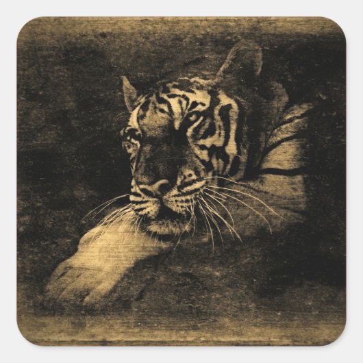 Carré Sticker d'art Vintage Tiger (Devant)
