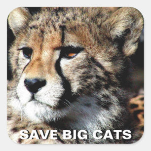 Carré Sticker de Cheetah